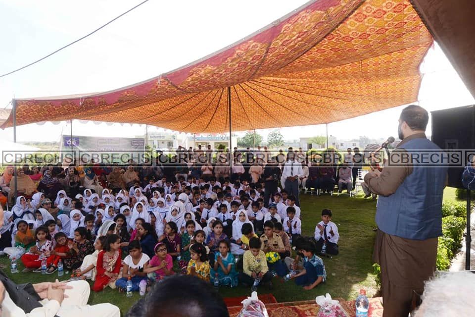 Summer Plantation 2019