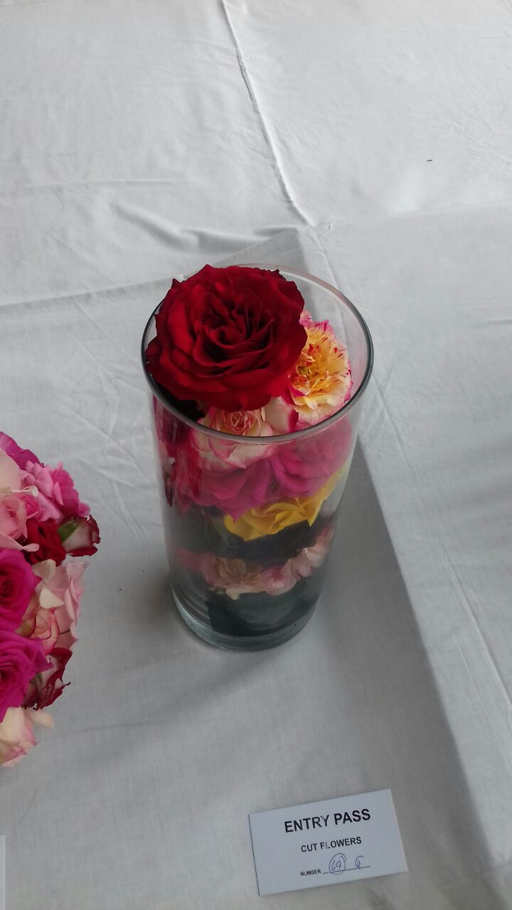 Rose Exhibition