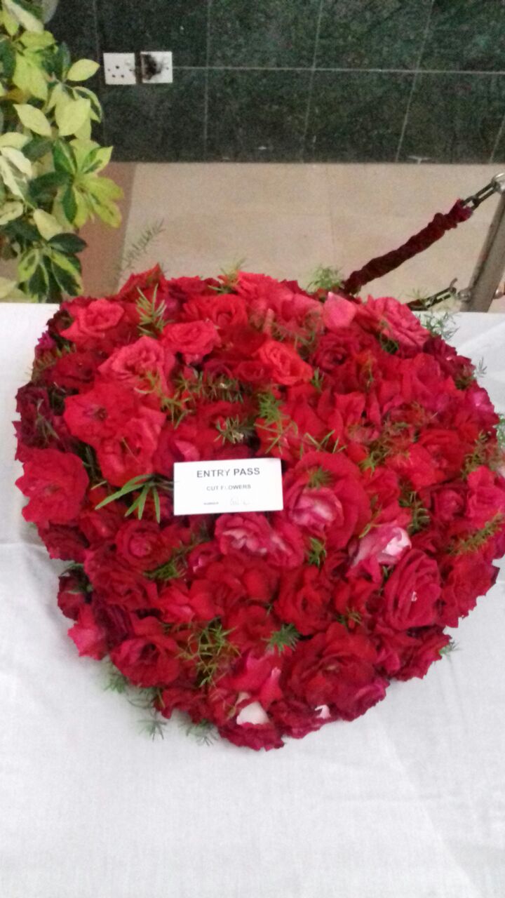 Rose Exhibition