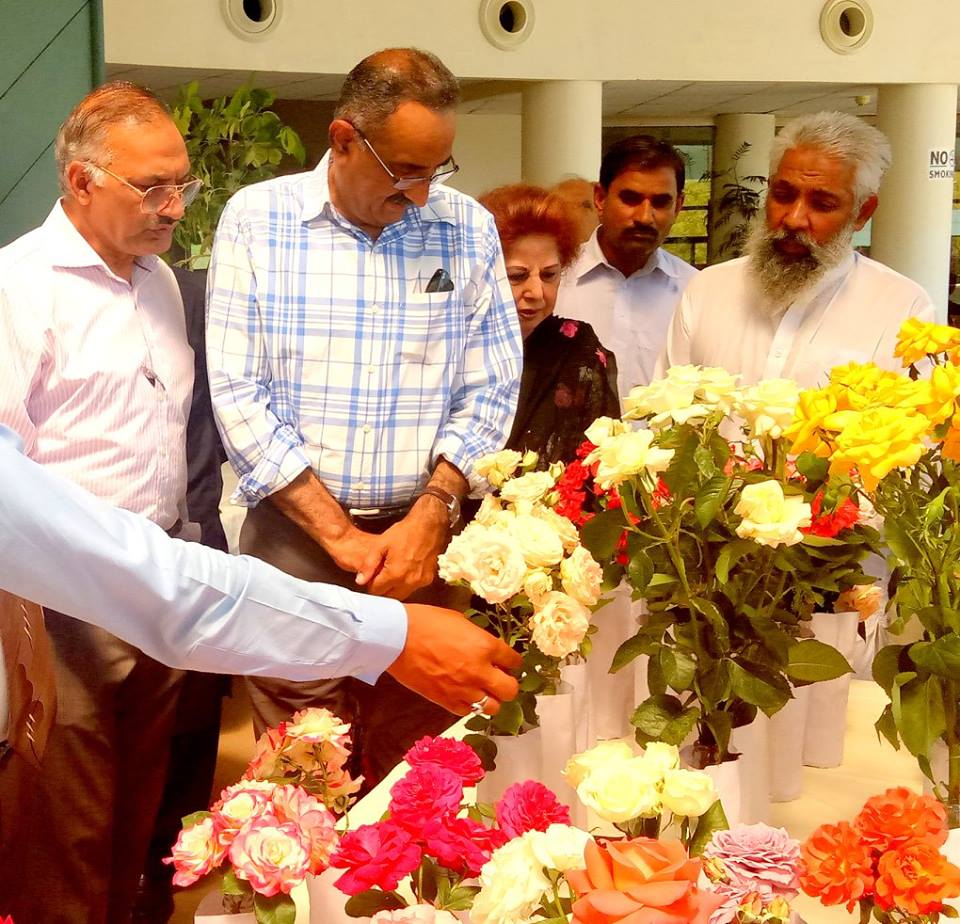 Exhibition conducted by National Rose Society.
