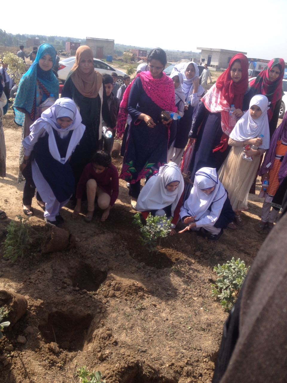 Plantation