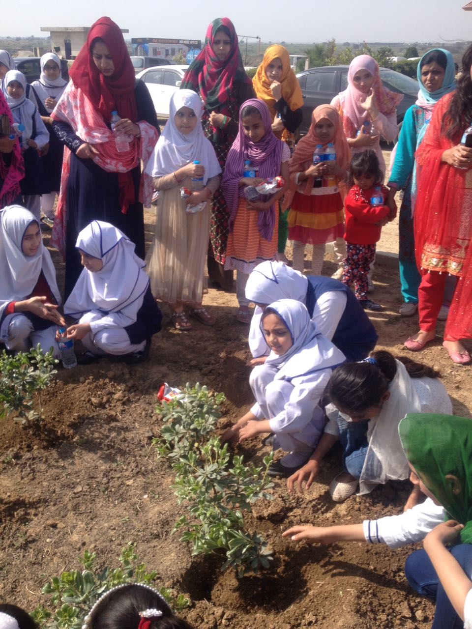 Plantation