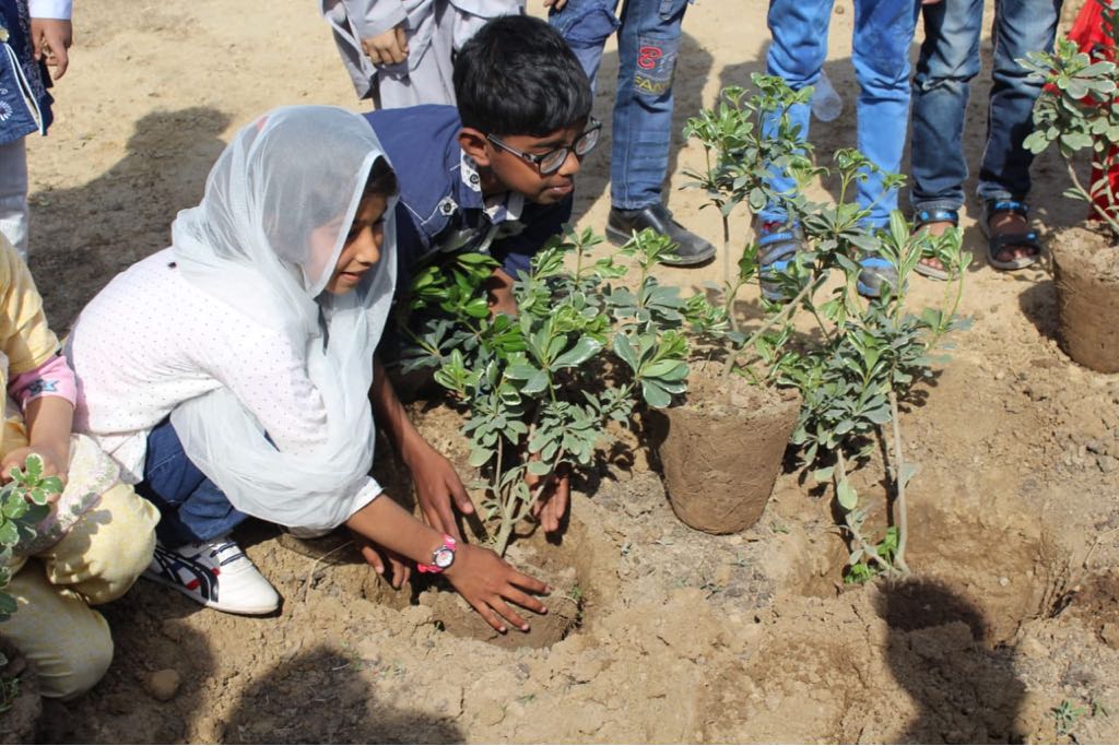Plantation