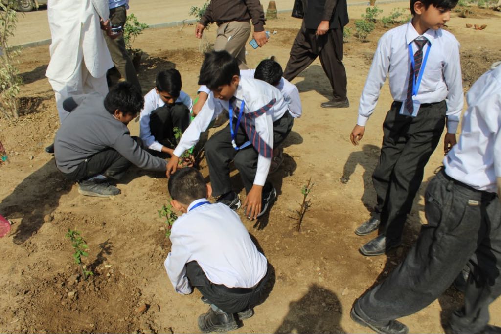 Plantation