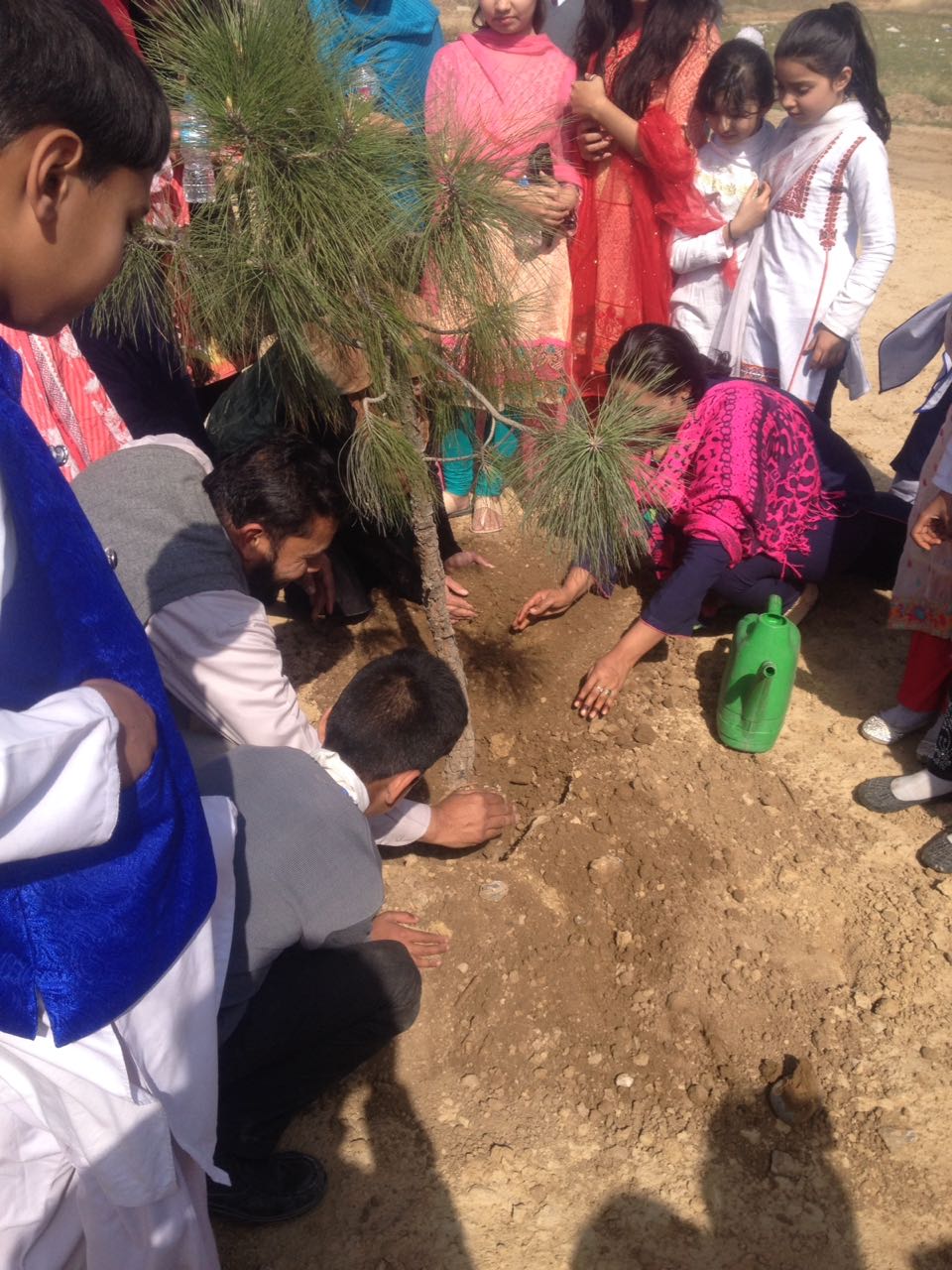 Plantation