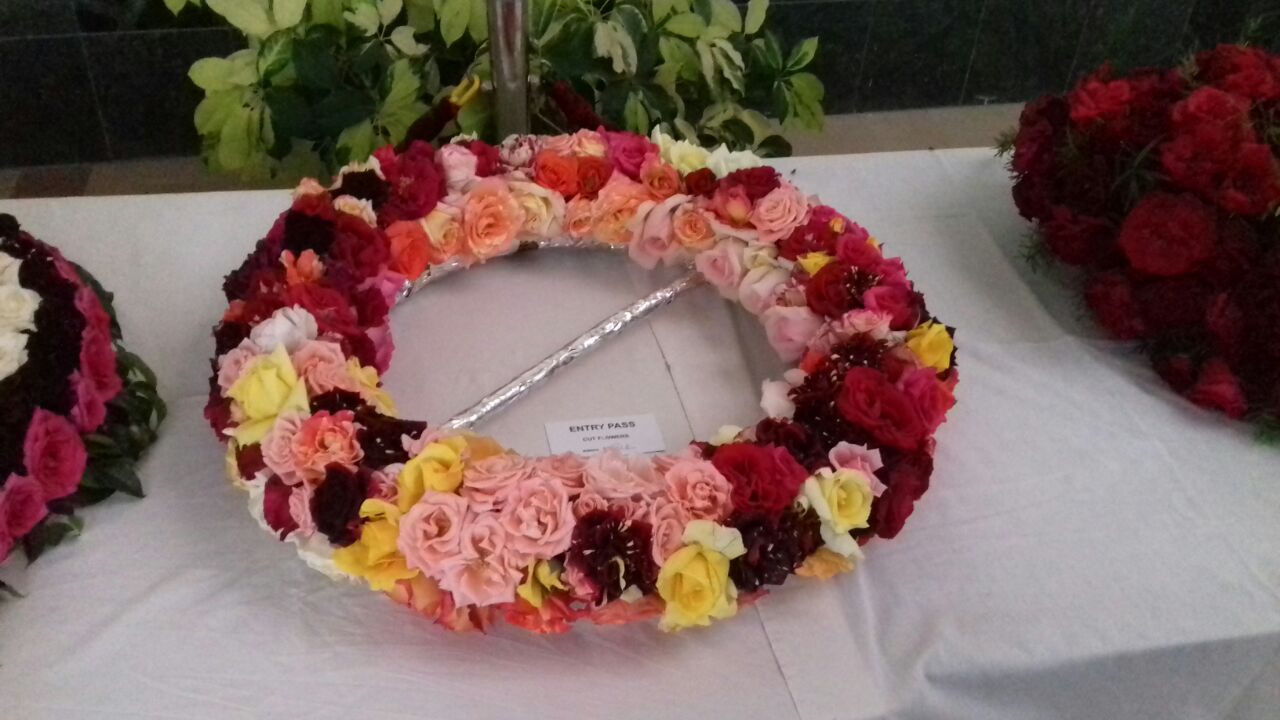 Rose Exhibition