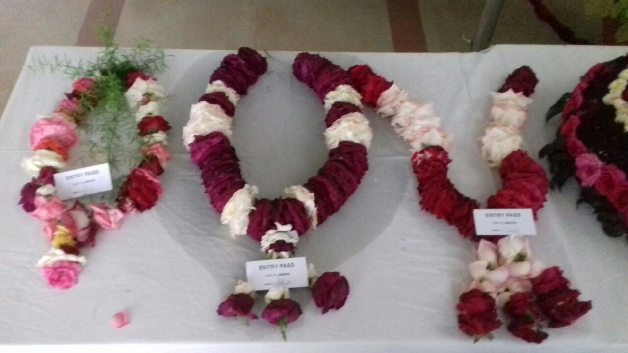 Rose Exhibition