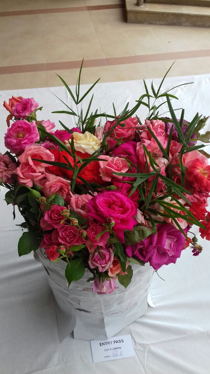 Rose Exhibition