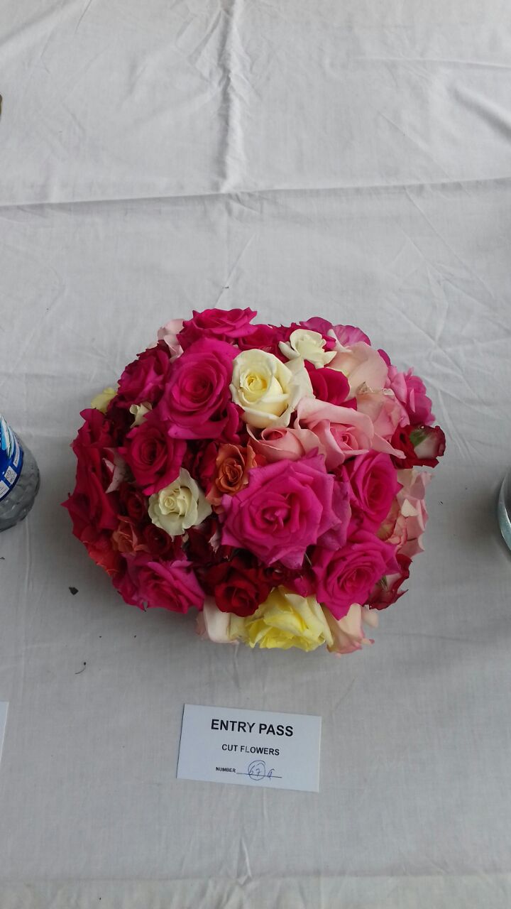 Rose Exhibition