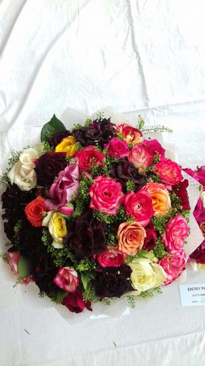 Rose Exhibition