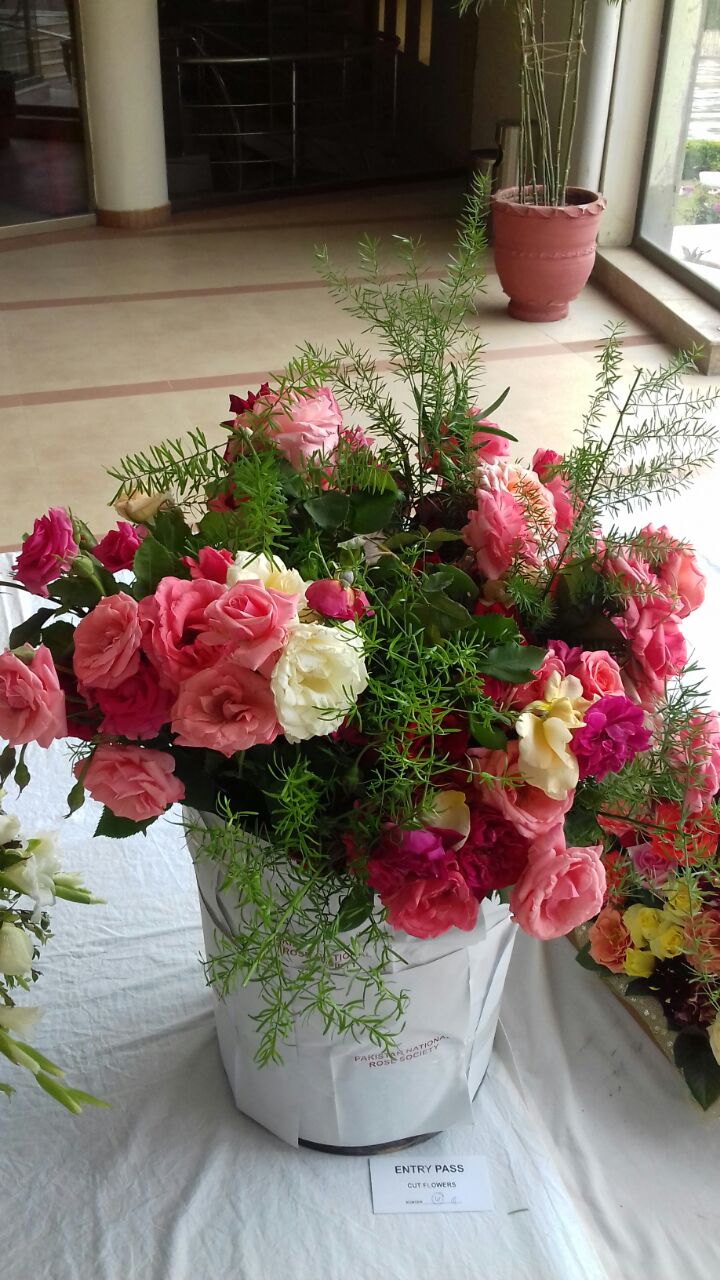 Rose Exhibition