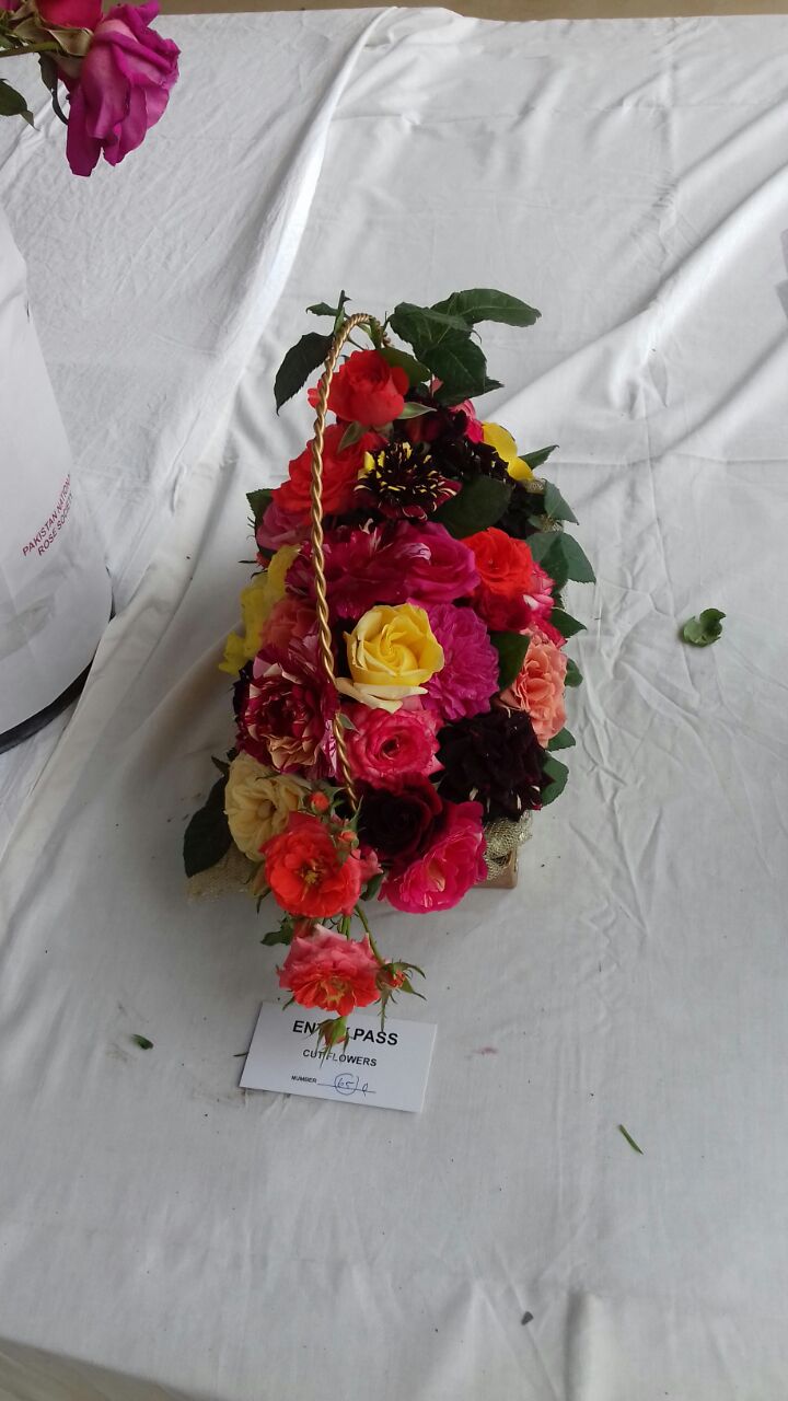 Rose Exhibition