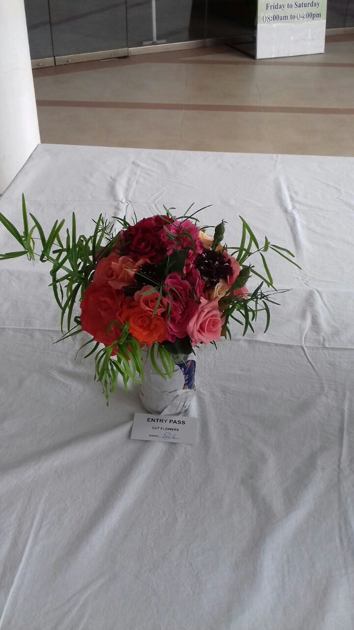 Rose Exhibition