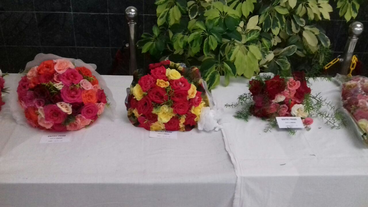 Rose Exhibition