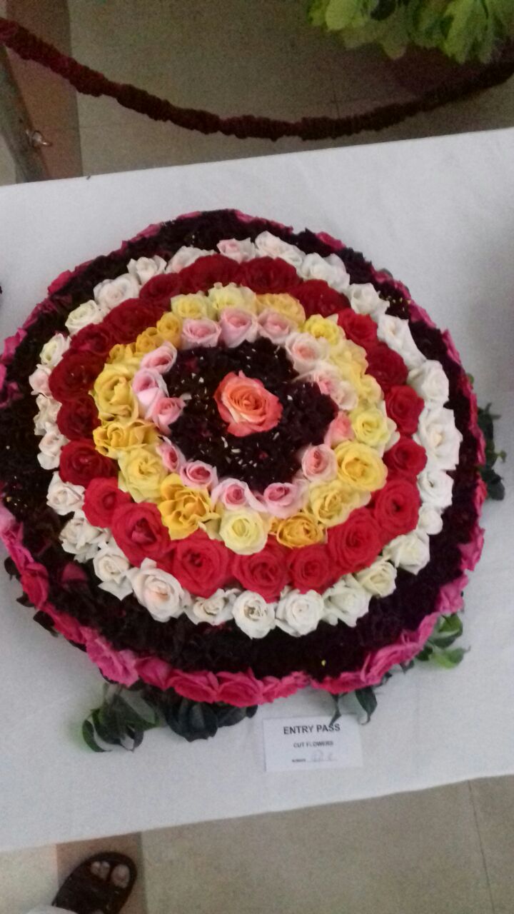 Rose Exhibition